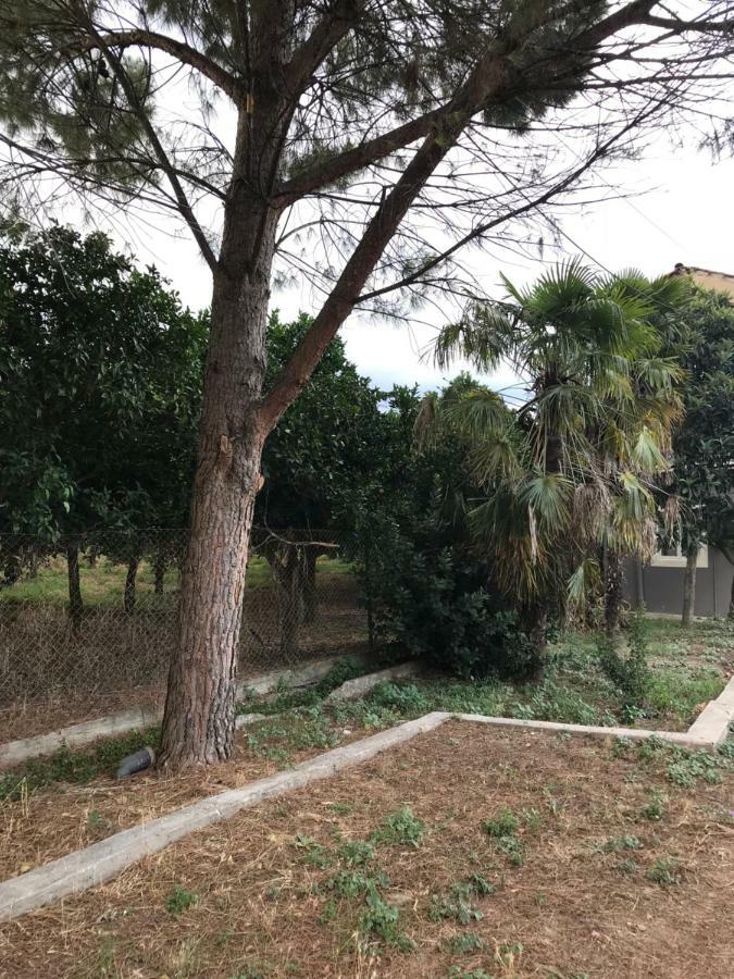 Appartamento Taygetos Sparta Esterno foto