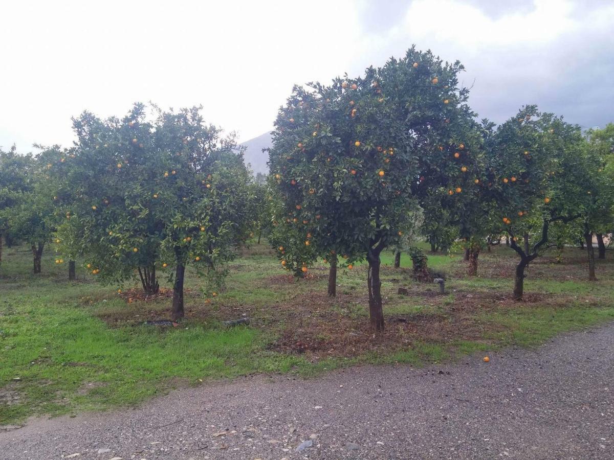 Appartamento Taygetos Sparta Esterno foto